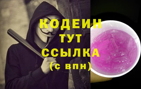 ПСИЛОЦИБИНОВЫЕ ГРИБЫ Нестеровская