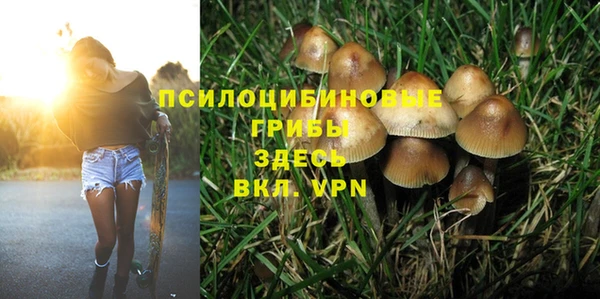 твердый Фёдоровский